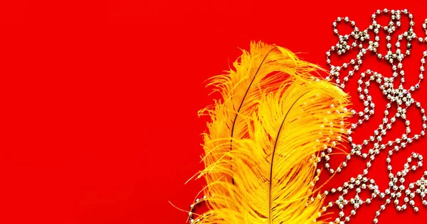 Yellow ostrich feathers on red background with silver beads. Mardi Gras concept. Holiday background for projects. Close-up — Stock Photo, Image