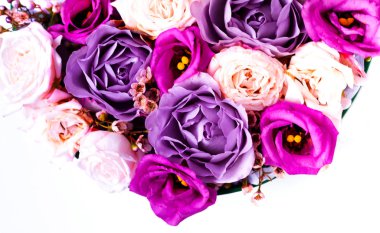 Güllerin tomurcuklanmasından gelen şölen konsepti. Beyazda izole edilmiş. Sevgililer Günü. Tebrik kartı ya da metin tasarımının şablonu. Yakın plan.