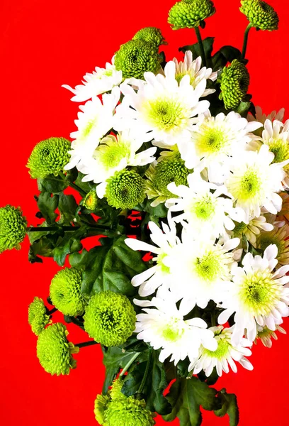 Цветочный Стиль Букет Цветов Белой Лилии Зеленой Хризантемы Праздничный Декор — стоковое фото