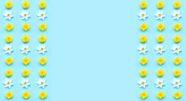 Mavi arka planda karahindiba ve nergis çiçeği deseni. Merhaba Yaz konsepti