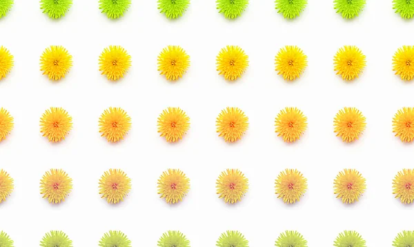 Pattern Mit Dandelion Flowers White Background Hello Summer Concept Close — Stock Photo, Image