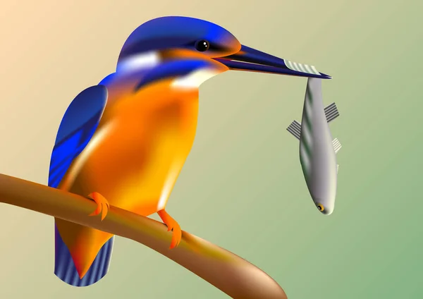 kuş gagası vektör pıtırtı balık ile dal arası kingfisher