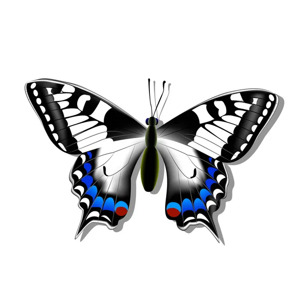 Мачаон бабочки на белом фоне с тенью, градиентом, 3d — стоковый вектор