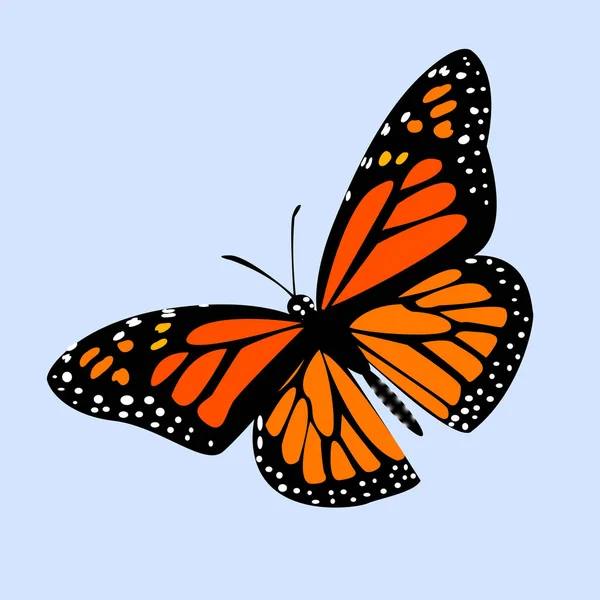 Монарх бабочки на синем фоне с тенью, градиентом, 3d — стоковый вектор