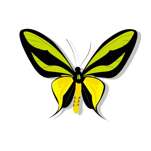 Pillangó a fehér háttér, árnyék, színátmenet, 3d — Stock Vector
