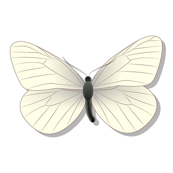 Белый бабочка на белом фоне с тенью, градиент, 3d — стоковый вектор