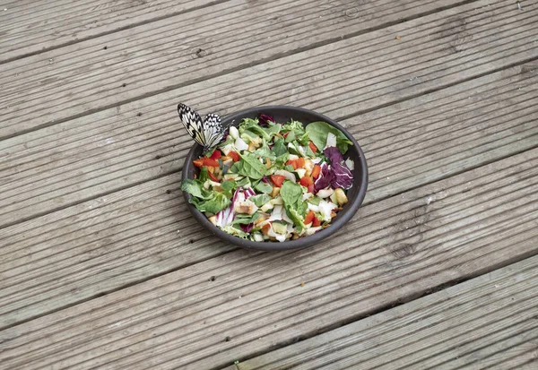 butterfly eating in an insect feeder on a wooden base