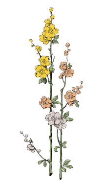 Dekoratif çiçek, çiçekli dallar. 