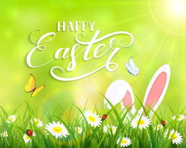 Paskalya tavşanına da çim ile yeşil arka plan