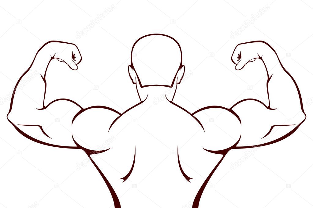 Silhouette of muscular man on white