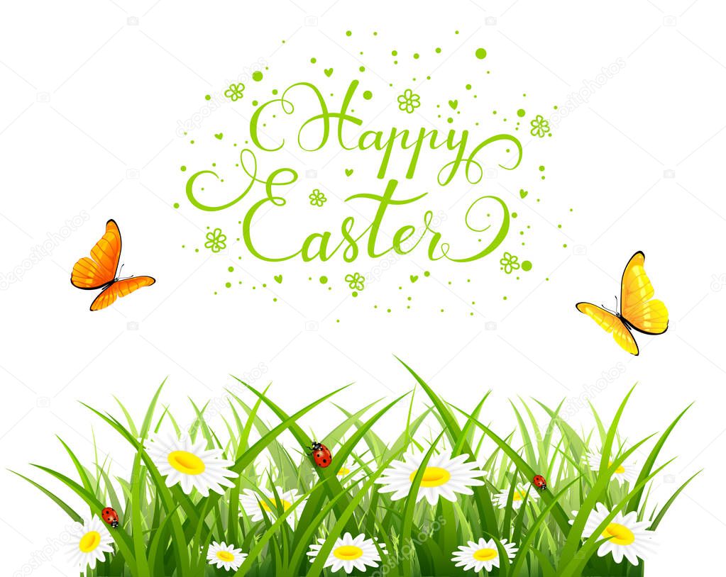 Easter background with butterflies and  flowers in grass
