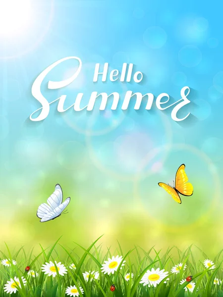 Fundal albastru natura cu litere Hello Summer — Vector de stoc