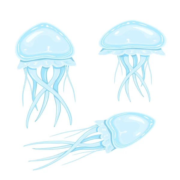 Set di meduse — Vettoriale Stock