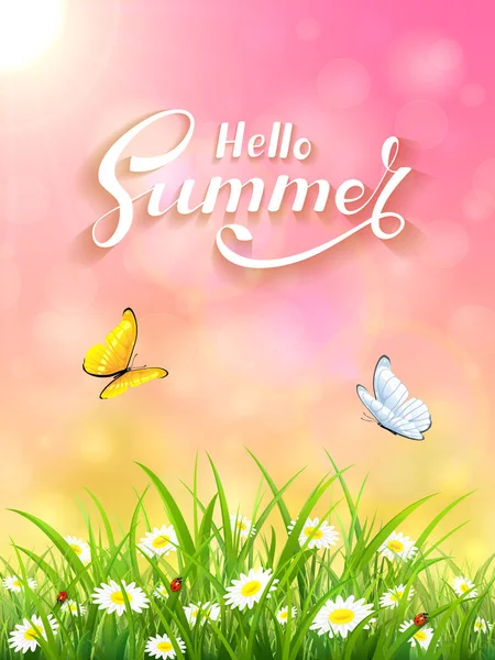 Fundo de verão rosa com grama e sol —  Vetores de Stock