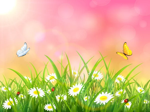 Roze natuur achtergrond met zon en vlinders — Stockvector