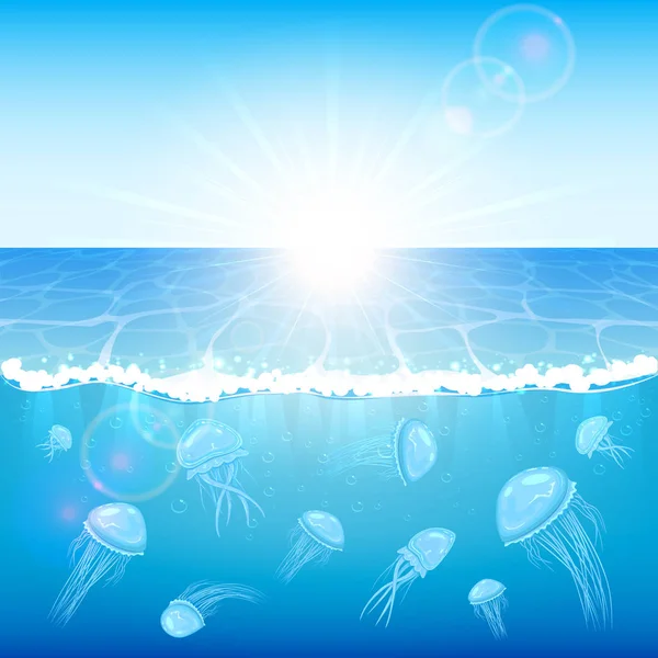 Jellyfish in the ocean — Stock Vector