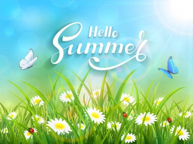 Merhaba yaz mavi doğa arka plan üzerinde yazı