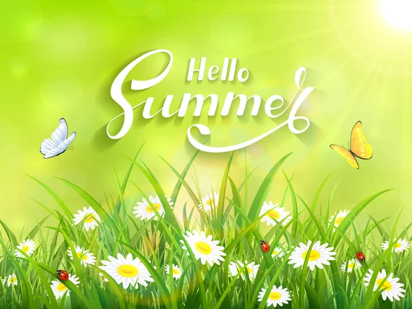 Lettering Hello Summer on green nature background — Vector de stoc