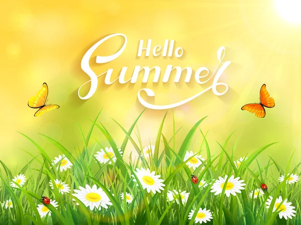 Lettering Hello Summer on yellow nature background — Stock Vector