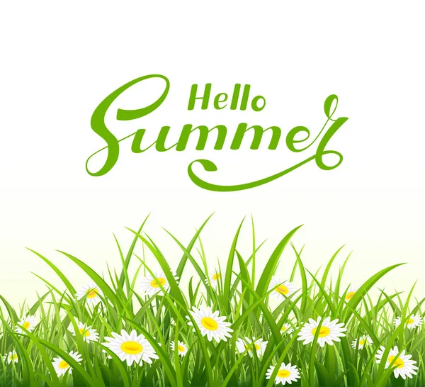 Lettering Olá Verão e natureza fundo com grama — Vetor de Stock