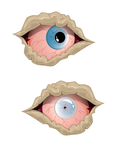 Conjunto de ojos zombie — Vector de stock