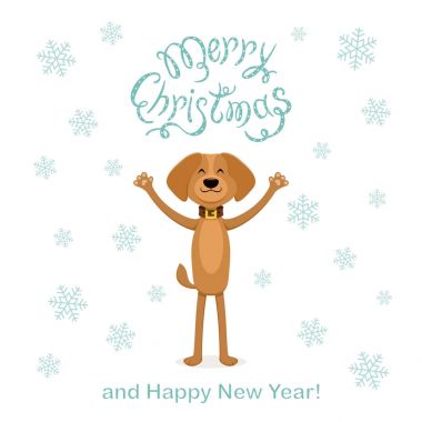 Mutlu köpek ve kar taneleri beyaz Noel arka plan