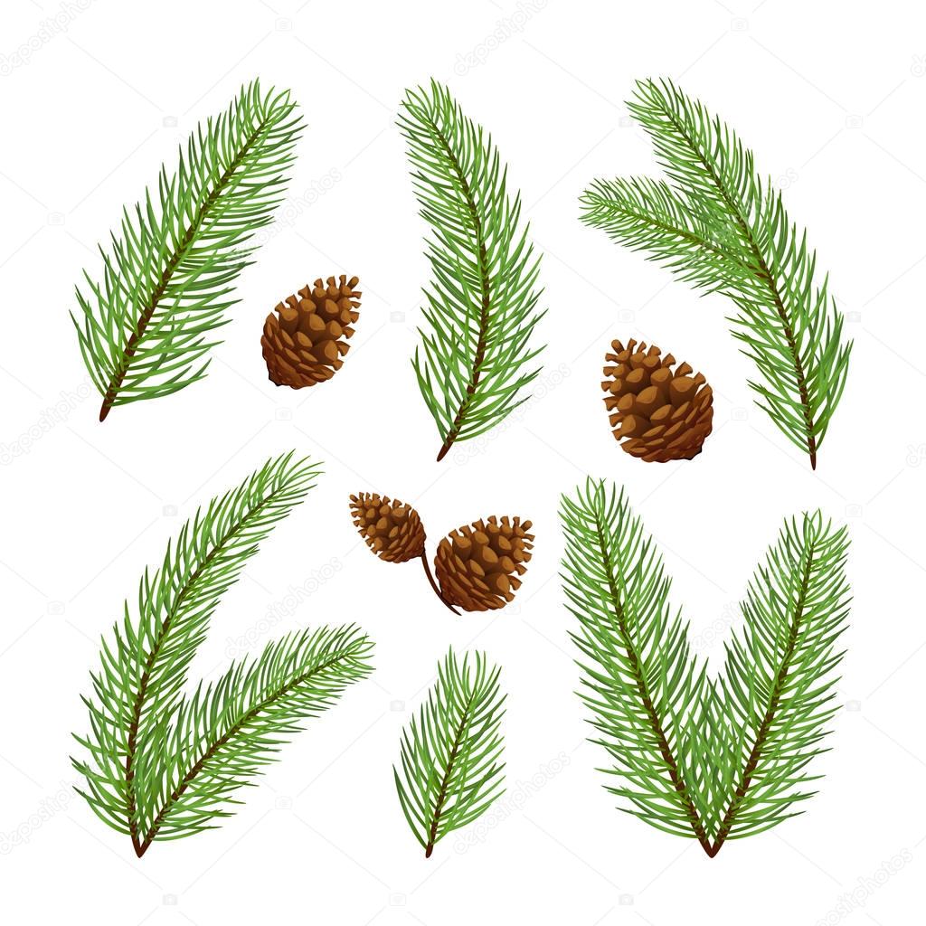 Christmas tree branches with pine cones