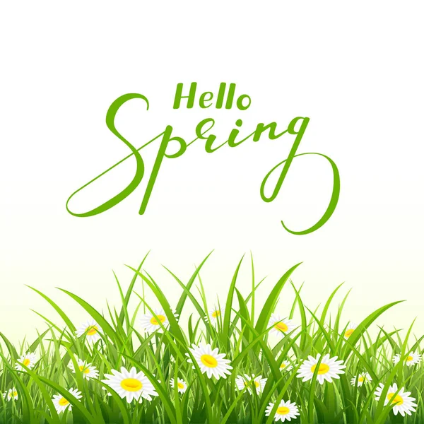 Летняя весна и природный фон с травой — стоковый вектор