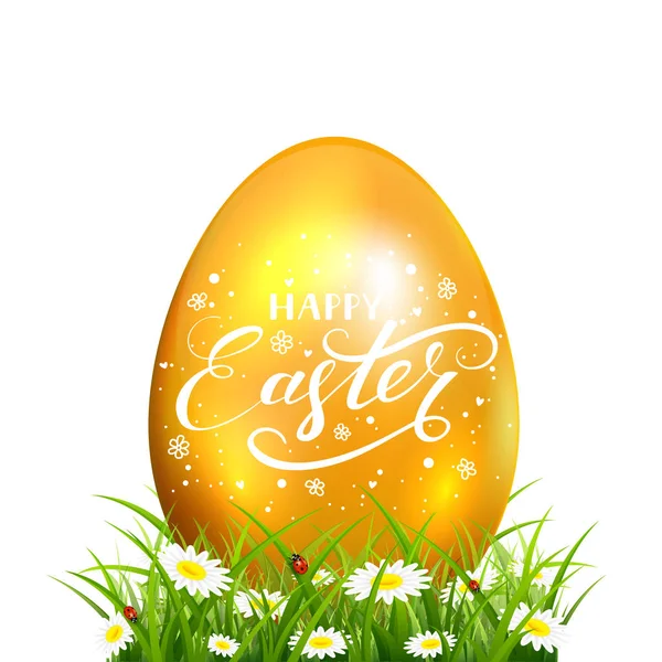 Easter egg in grass with flowers on white background — Stock Vector