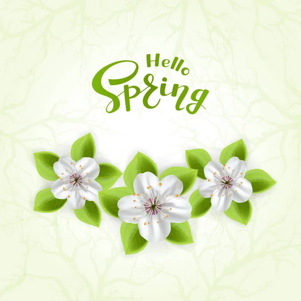 Hello Spring and flowers on green background — стоковый вектор