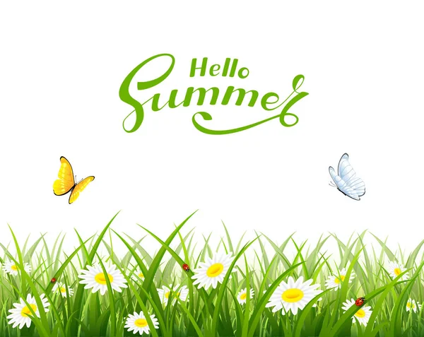 Hello Summer and butterflies flying over grass and flowers — Stock Vector