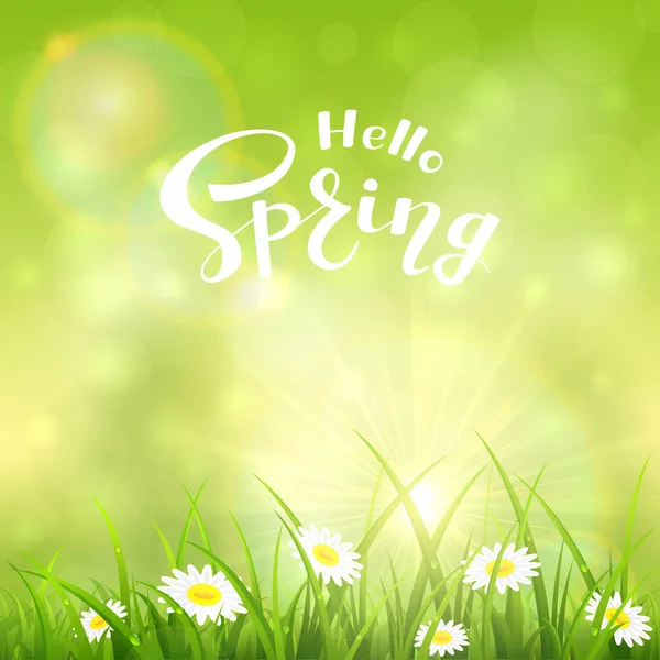 日当たりの良い、緑の自然の背景とテキストこんにちは春 — ストックベクタ