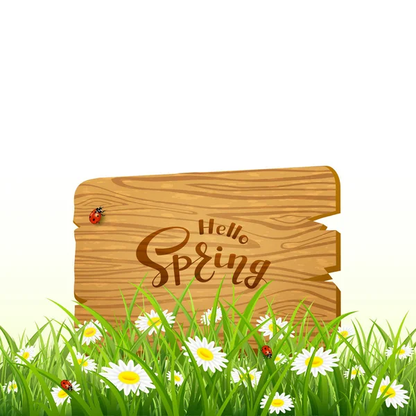 木製の板と自然背景ウィットにレタリングこんにちは春 — ストックベクタ