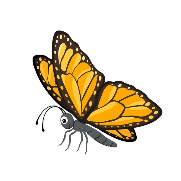 Feliz mariposa. — Vector de stock