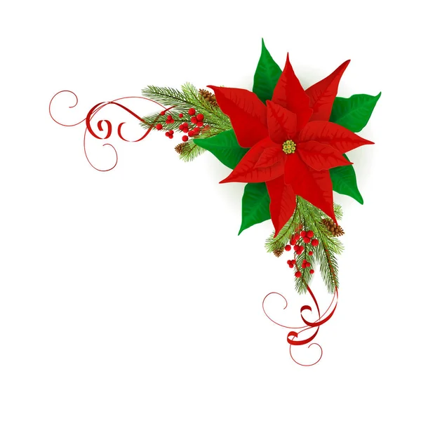 モミの木の枝とポインセチアとクリスマスの装飾 — ストックベクタ