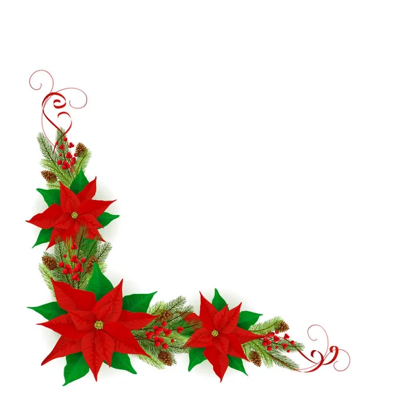 Decorações com Poinsettia e ramos de árvore de abeto de Natal — Vetor de Stock