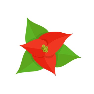 Kağıt Çiçek Noktası