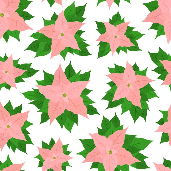 Seamless Background with Pink Poinsettia Flowers — Stock Vector