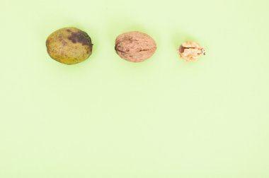 Close-Up çekirdek ve bütün ceviz