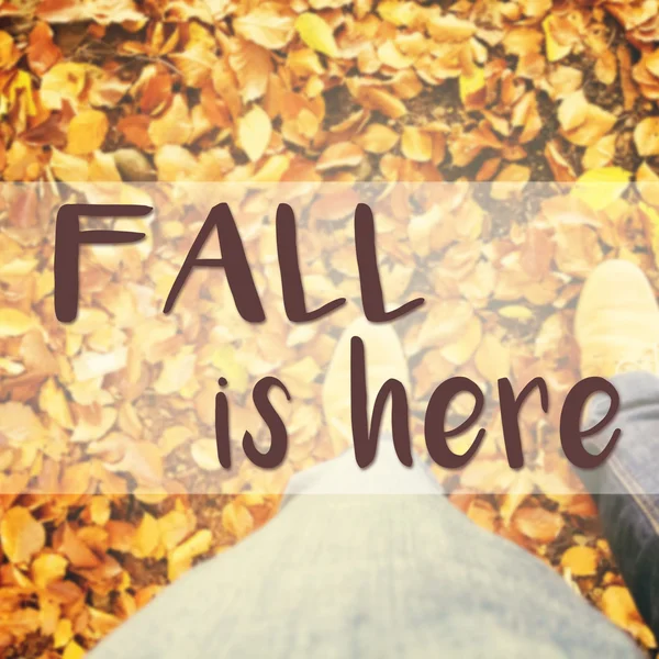 Inspirational typographic quote about fall — Stock Photo, Image