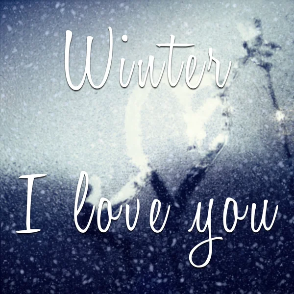 Inspiring quote with winter I love you — Stock Photo, Image