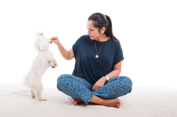 Güzel kadın sevimli köpeği ile oynamak — Stok fotoğraf