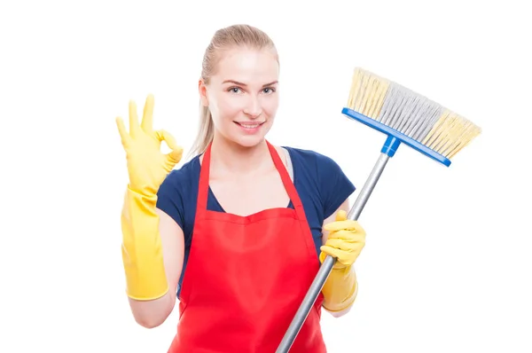 Grande conceito de serviços de limpeza com bela dona de casa — Fotografia de Stock