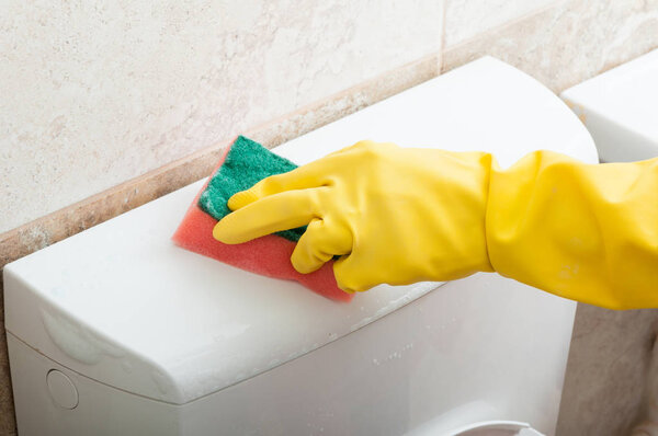 Female cleaner wiping the  toilet bowl with sponge 