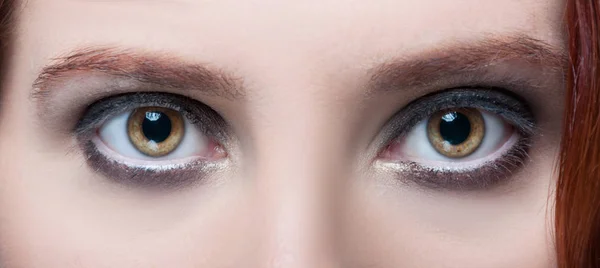 Ojos de avellana de mujer con maquillaje y cejas marrones — Foto de Stock