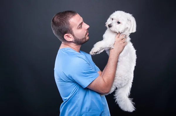 Veteriner giyen holding köpek istişare için scrubs — Stok fotoğraf