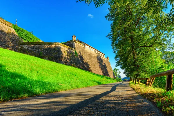 Kale Rosenberg - Kronach