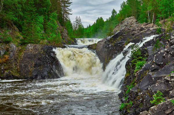 Waterfall Kivach in Kareliya .