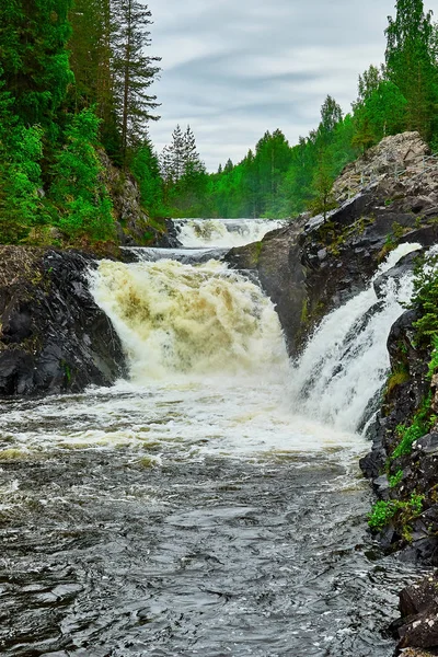 Catarata Kivach en Kareliya  . — Foto de Stock