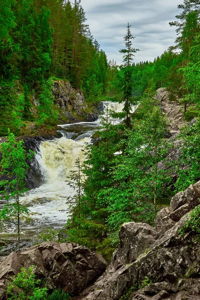 Şelale Kivach Kareliya içinde . Stok Fotoğraf